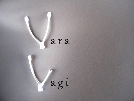 Origami Wishbone by Yara Yagi on giladorigami.com