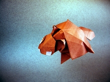Origami Flying squirrel by Yamada Katsuhisa on giladorigami.com