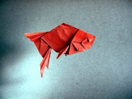 Origami Goldfish by Zhao Yanjie on giladorigami.com