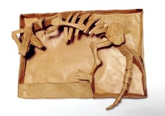 Origami Dinosaur skeleton by Nguyen Minh Duc on giladorigami.com