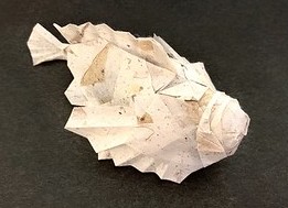Origami Stonefish by Tominaga Kazuhiro on giladorigami.com