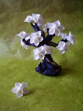 Origami Cherry blossom by Sanja Srbljinovic Cucek on giladorigami.com