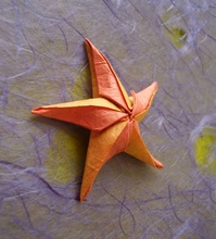 Origami Starfish by Sanja Srbljinovic Cucek on giladorigami.com