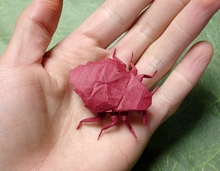Origami Bed bug by Sebastian Arellano on giladorigami.com