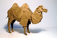 Origami Bactrian camel by Shuki Kato on giladorigami.com