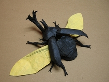Origami Samurai helmet beetle in flight by Shuki Kato on giladorigami.com