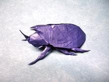 Origami Rhinoceros beetle by Jason Ku on giladorigami.com