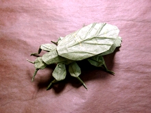 Origami Leaf insect by Daniel Robinson on giladorigami.com