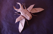 Origami Stag beetle - flying by Shuki Kato on giladorigami.com
