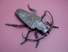 Origami Titan beetle by Shuki Kato on giladorigami.com