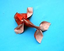 Origami Goldfish by Ta Trung Dong on giladorigami.com