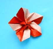 Origami Candy flower by Matsui Erika on giladorigami.com