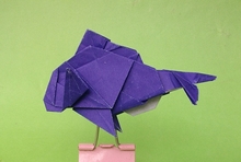 Origami Red Sea Brim by Nakamura Kaede on giladorigami.com