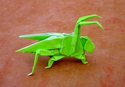 Origami Grasshopper by John Montroll on giladorigami.com