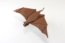 Origami Free-tailed bat by Quentin Trollip on giladorigami.com
