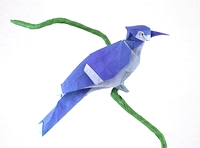 Origami Blue jay by Quentin Trollip on giladorigami.com
