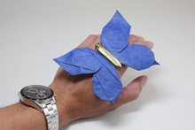 Origami Butterfly 1 by Quentin Trollip on giladorigami.com