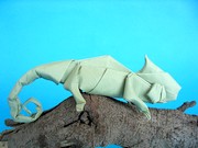 Origami Chameleon by Quentin Trollip on giladorigami.com