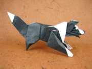Origami Border collie by Quentin Trollip on giladorigami.com