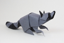 Origami Raccoon by Quentin Trollip on giladorigami.com