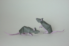 Origami Rat by Quentin Trollip on giladorigami.com