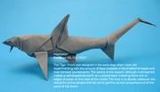 Origami Tiger shark by Quentin Trollip on giladorigami.com