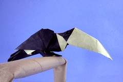 Origami Toucan by Quentin Trollip on giladorigami.com