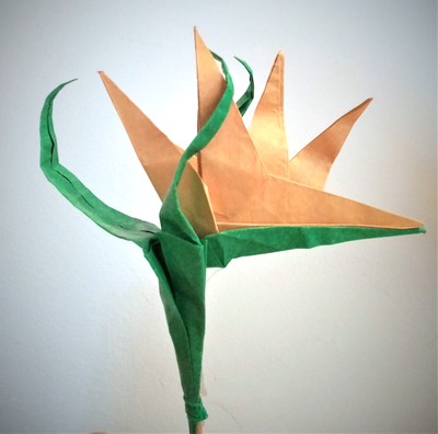 Origami Bird of paradise by Roberto Vigorelli on giladorigami.com