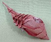 Origami Seashell by David Derudas on giladorigami.com