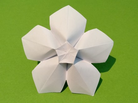 Origami Plum flower by Philip Shen on giladorigami.com