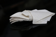 Origami Cuttlefish by Marcelo Arispe-Guzman on giladorigami.com