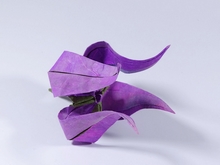 Origami Clematis sibirica by Dmitry Lysiuk on giladorigami.com