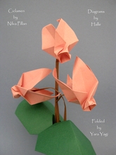 Origami Cyclamen by Nilva Pillan on giladorigami.com
