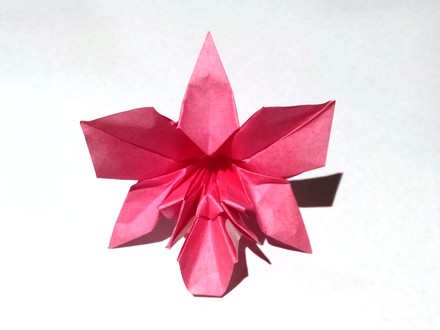 Origami Orchid for Susie by Michael G. LaFosse on giladorigami.com