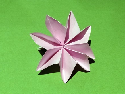 Origami Carnation by Mitsunobu Sonobe on giladorigami.com