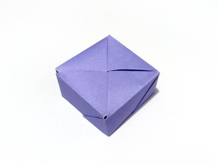 Origami Checked box 1 by Francisco Javier Caboblanco on giladorigami.com