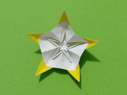 Origami Chloe