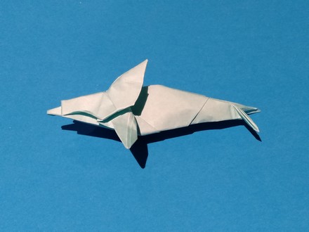 Origami Dolphin by Patricio Kunz Tomic on giladorigami.com