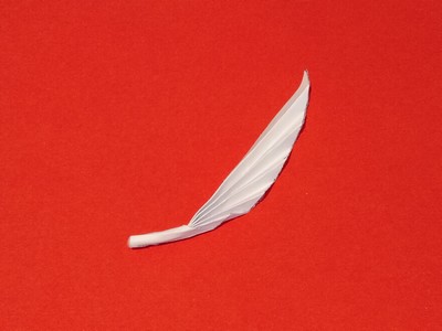 Origami Feather for cap by Vicente Palacios on giladorigami.com