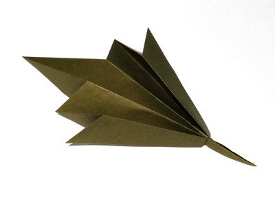 Origami Five point leaf by David Wires (David Donahue) on giladorigami.com