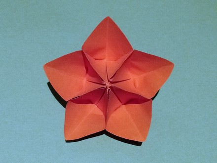 Origami Flower by Adam Gaillet on giladorigami.com