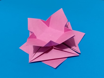 Origami Flower-shaped receptacle by Sumida Noriko on giladorigami.com