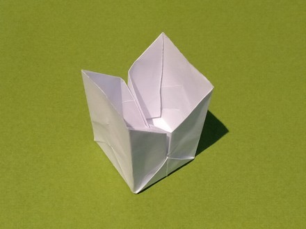 Origami Paneled case by Sone Yasuko on giladorigami.com