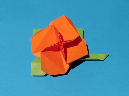 Origami Rose by Ryo Aoki on giladorigami.com