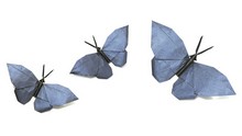 Origami Butterfly by Hideo Komatsu on giladorigami.com