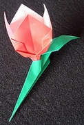 Origami Tulip by Joan Appel on giladorigami.com