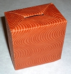 Origami Money box by David Brill on giladorigami.com