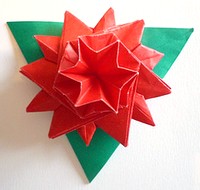 Origami Rose medallion by Fujimoto Shuzo on giladorigami.com