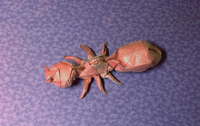 Origami Ant by Robert J. Lang folded by Gilad Aharoni