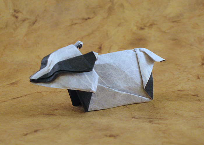 Origami European badger by Jozsef Zsebe folded by Gilad Aharoni